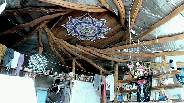 wildforestmuse  online show from 26, 7, 2026