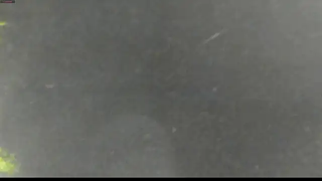 Snapshot of justin_lenox chatting on 1, 6, 2026 justin lenox online show from 1, 6, 2026