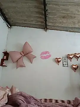 mileidy0106 online show from 4, 7, 2026