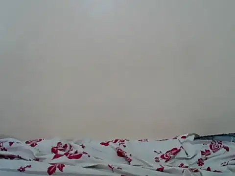 Hornysmoker20 online show from 7, 7, 2026