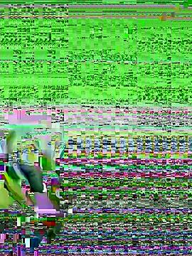 bigorange11 online show from 20, 6, 2026