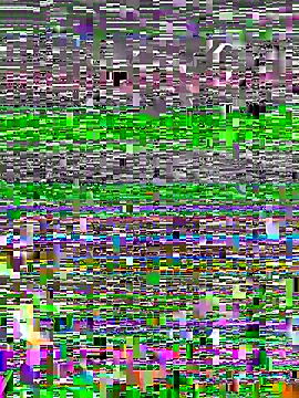 ke-la2 online show from 2, 6, 2026