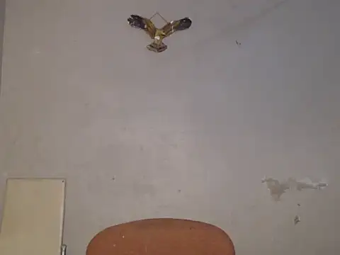 Frank X Husle online show from 9, 7, 2026