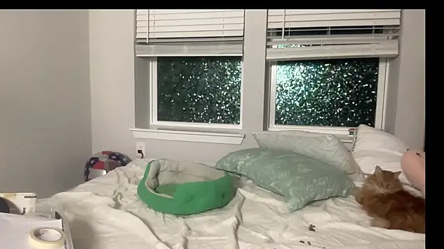 Snapshot of maddiliz chatting on 15, 9, 2025 maddiliz online show from 15, 9, 2025