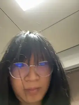 shieru neko online show from 11, 7, 2026