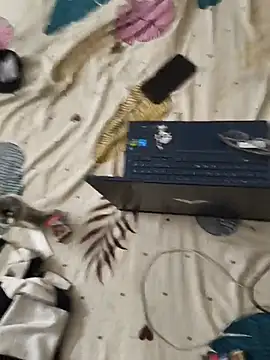 HARDDICC98 online show from 4, 7, 2026
