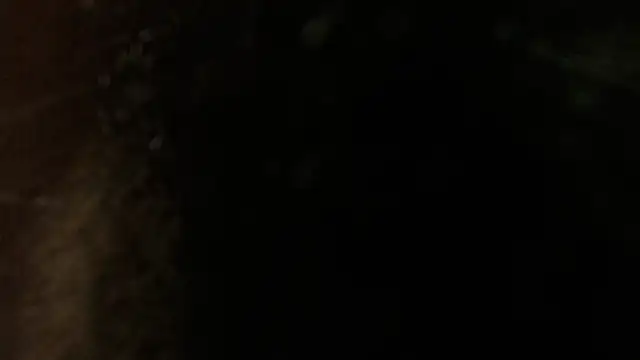 sweet barbiie online show from 12, 1, 2025