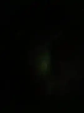 Snapshot of dddauxuxn chatting on 19, 7, 2026 dddauxuxn online show from 19, 7, 2026