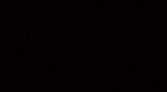 Blackswinger online show from 4, 3, 2025