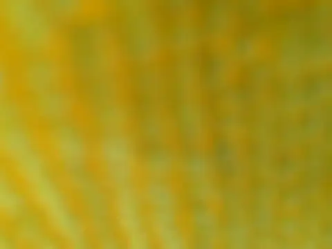 Snapshot of OGXXXOG chatting on 16, 3, 2025 OGXXXOG online show from 16, 3, 2025