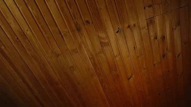 Snapshot of coraline_latin chatting on 25, 9, 2025 coraline latin online show from 25, 9, 2025