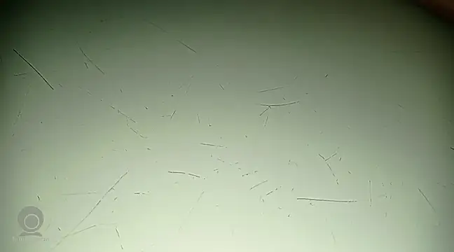 Just for trans online show from 21, 2, 2025