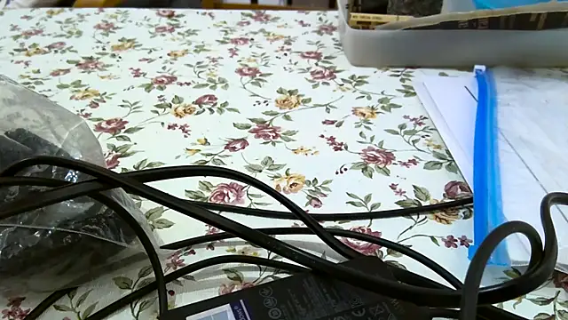 Snapshot of Bigjacky chatting on 9, 9, 2025 Bigjacky online show from 9, 9, 2025