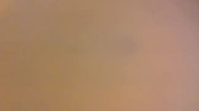 Snapshot of lilpervt chatting on 21, 12, 2024 lilpervt online show from 21, 12, 2024