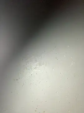 Curvy conda online show from 11, 1, 2026