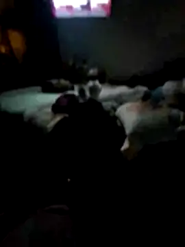 juliopantoja online show from 15, 2, 2026