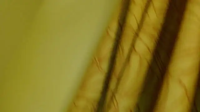 digbicku online show from 12, 10, 2025