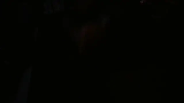 blkwanker online show from 23, 1, 2025