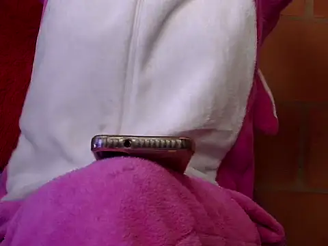 pamelasophia19 online show from 13, 2, 2026