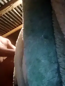 2soyte online show from 14, 10, 2025