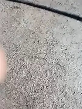 Bengali BULL1 online show from 4, 10, 2025