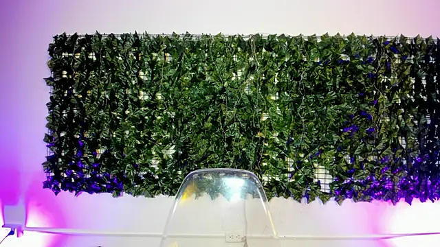 AbbyTaylorr online show from 2, 4, 2026