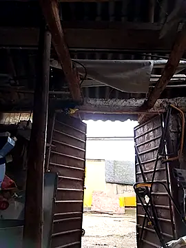 sarpe4 online show from 4, 10, 2025