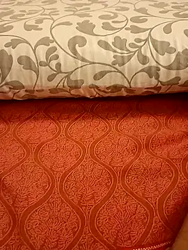 Snapshot of Bull8 chatting on 2, 3, 2025 Bull8 online show from 2, 3, 2025