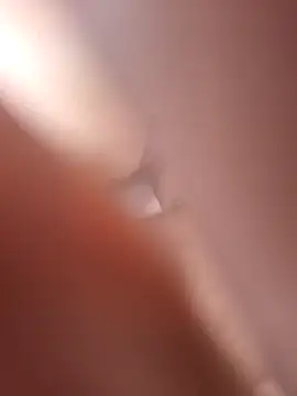 Bull8 online show from 19, 4, 2026