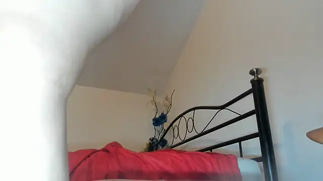 simona butterfly online show from 11, 3, 2026