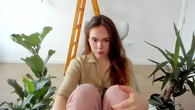 Pokemeboy online show from 6, 12, 2024