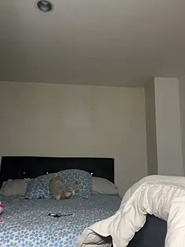 swrennn19 online show from 17, 2, 2025