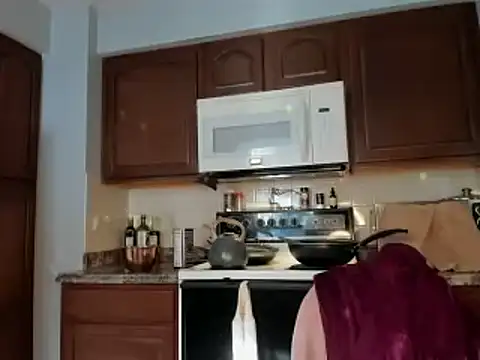 naturestwisted online show from 13, 12, 2024