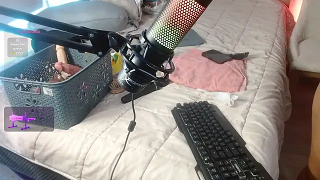 karlavittar online show from 16, 12, 2025