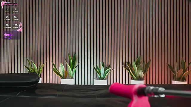 NiceHotJob online show from 3, 2, 2025