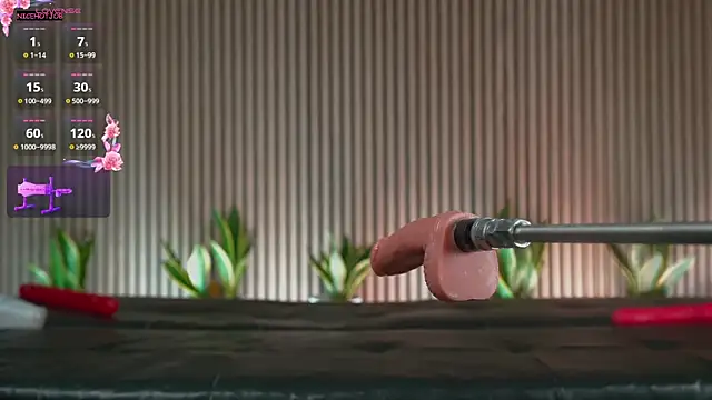 NiceHotJob online show from 4, 3, 2025