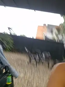 DAELAA online show from 8, 3, 2025