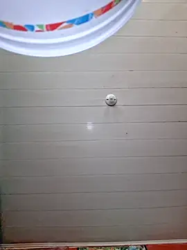 Toycockhot online show from 26, 11, 2025