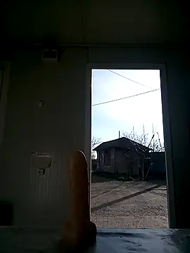 david geam online show from 14, 3, 2025