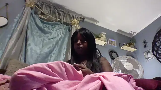 msdeedee online show from 18, 12, 2025