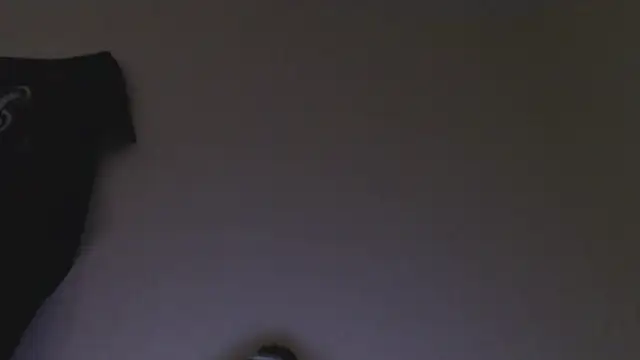 florida0217 online show from 6, 1, 2025