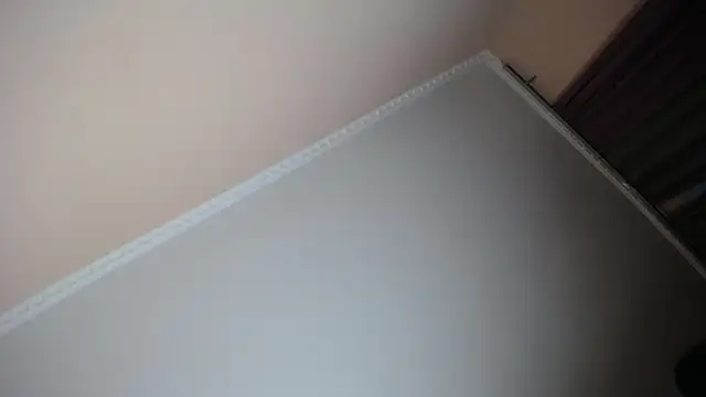 Snapshot of Milka_Web chatting on 29, 11, 2025 Milka Web online show from 29, 11, 2025