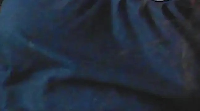 giga-bite online show from 15, 12, 2024