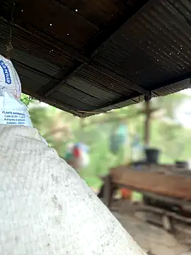 Ixchel Anaid online show from 30, 10, 2025