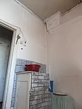 Cerd Ayaz online show from 24, 3, 2026