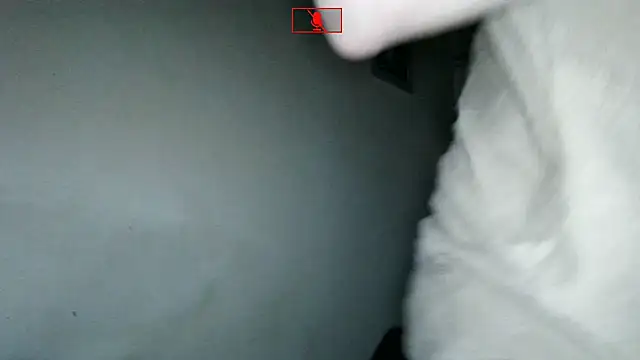 Ethangay online show from 2, 11, 2025