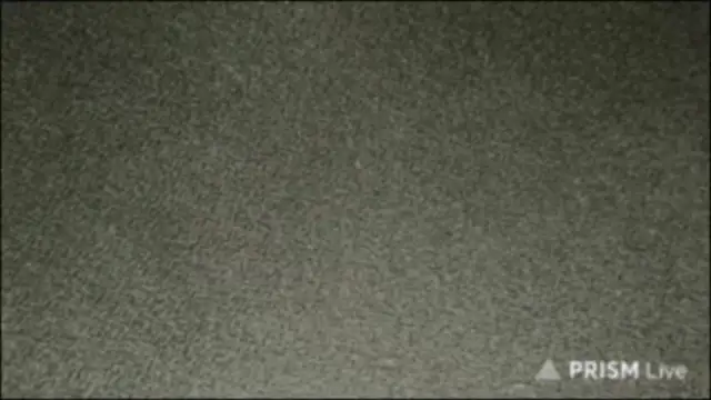 Bullish online show from 3, 4, 2026