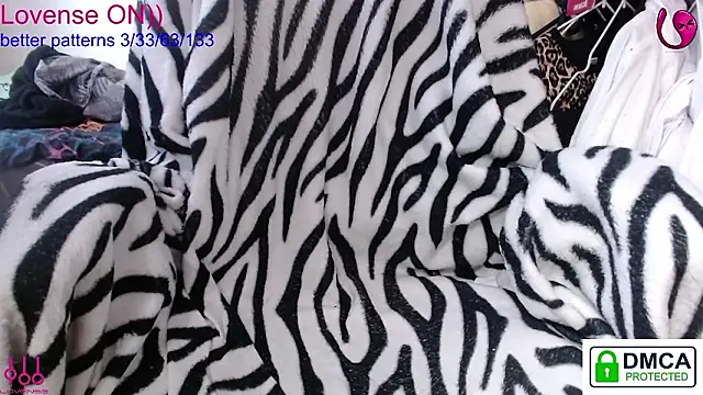 sweet cute cat online show from 27, 3, 2026