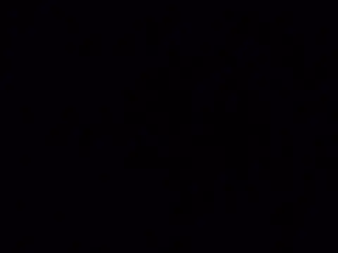 tropikboy online show from 2, 2, 2026