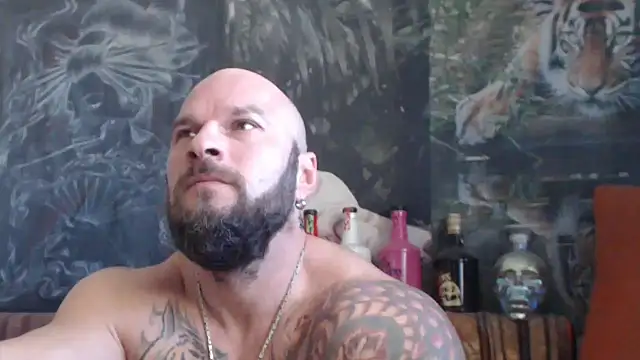 viking 30 online show from 25, 10, 2025